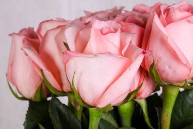 Beyaz arka plan üzerinde izole pembe gül buketi