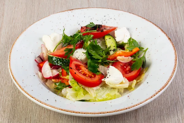 Mozzarella peyniri ve sebze salatası