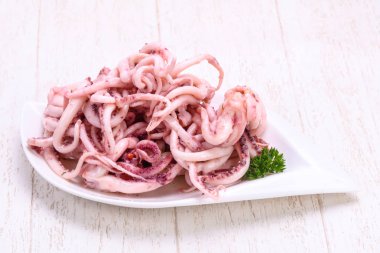 Kalamar Marine tentackle kabın içinde