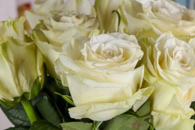 İzole beyaz gül buketi