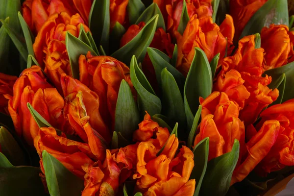 Bouquet Tulipani Arancioni Giovani Fiori Primavera — Foto Stock