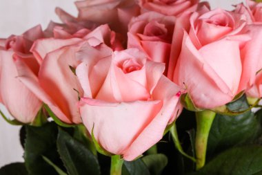 Beyaz arka plan üzerinde izole pembe gül buketi