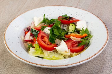 Mozzarella peyniri ve sebze salatası