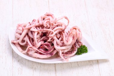 Kalamar Marine tentackle kabın içinde