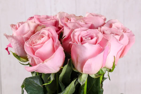 Pink Roses Bouquet Isolated White Background — Stock Photo, Image