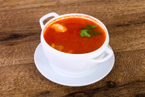 Russian Solyanka Soup Parsley — Stock Photo, Image