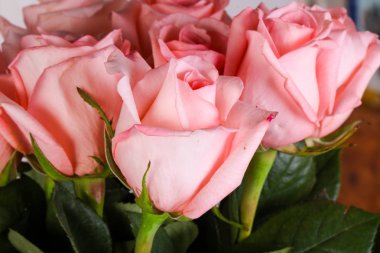 Beyaz arka plan üzerinde izole pembe gül buketi