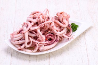 Kalamar Marine tentackle kabın içinde