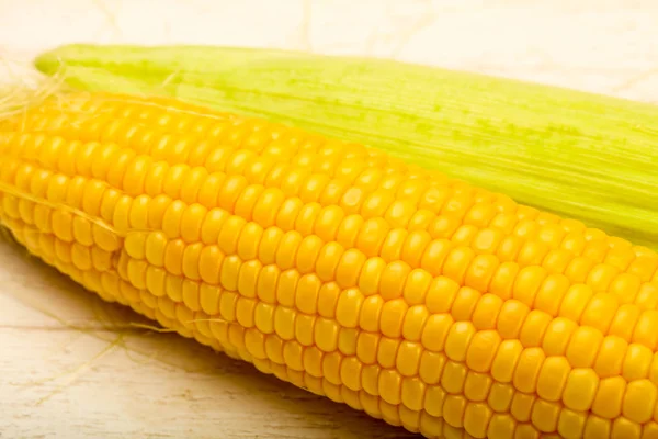 Ripe Fresh Young Corn — Stock Photo, Image