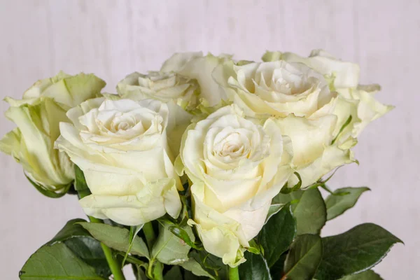 Білі Троянди Букет Ізольовані — стокове фото