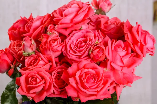 Röda Rosor Blommor Över Trä Bakgrunden — Stockfoto