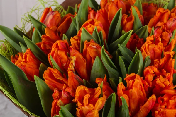 Ramo Tulipanes Naranja Flores Jóvenes Primavera — Foto de Stock