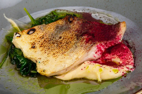 Pike perch fillet with sauce — Stock Image Pike Perch Fillet Sauce Stock Image
