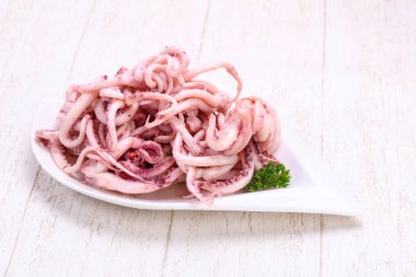 Kalamar Marine tentackle kabın içinde