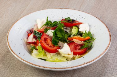 Mozzarella peyniri ve sebze salatası