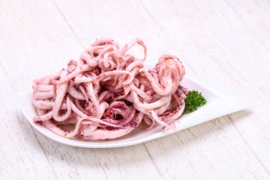 Kalamar Marine tentackle kabın içinde