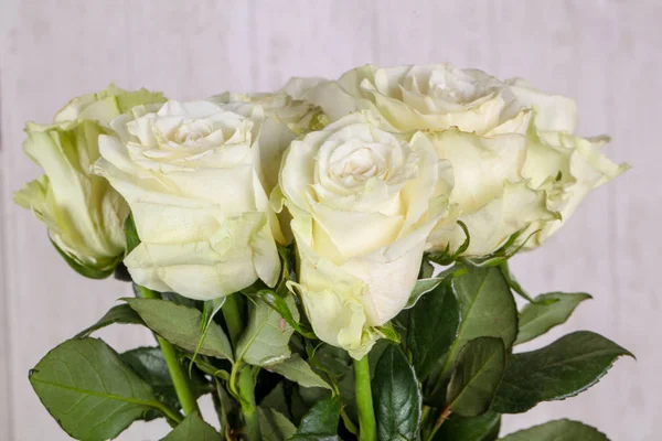 Bouquet Rose Bianche Isolato — Foto Stock