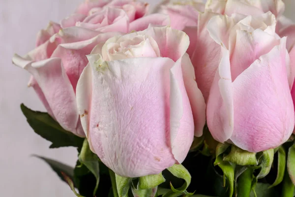 白い背景上に分離されてピンクのバラの花束 — ストック写真