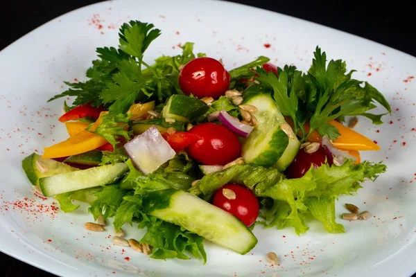 Gemüsesalat Mit Kräutern Und Tomaten — Stockfoto