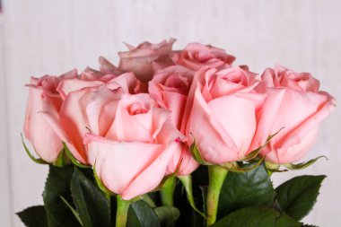 Beyaz arka plan üzerinde izole pembe gül buketi