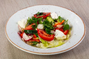 Mozzarella peyniri ve sebze salatası