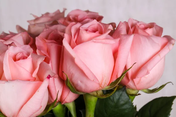 Pink Roses Bouquet Isolated White Background — Stock Photo, Image