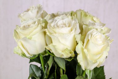 İzole beyaz gül buketi