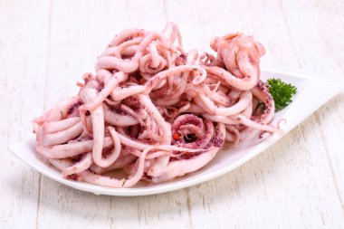 Kalamar Marine tentackle kabın içinde