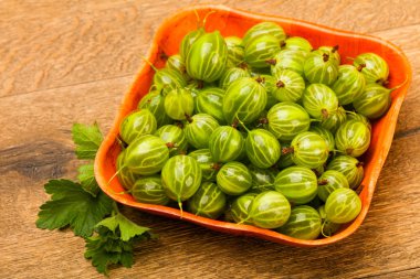 Bektaşi yaprak kase