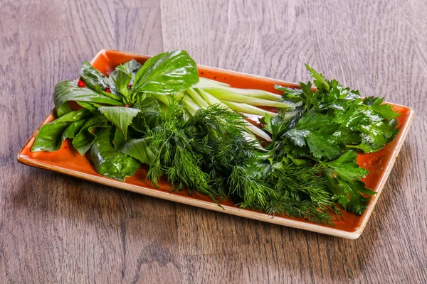 Fresh green herbs snack - parsley, dill, basil and celery