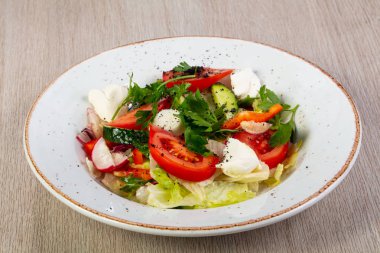 Mozzarella peyniri ve sebze salatası
