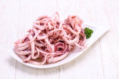 Kalamar Marine tentackle kabın içinde