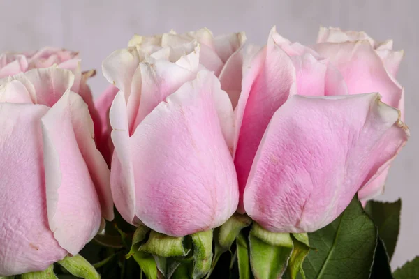 Rose Rosa Bouquet Isolato Sfondo Bianco — Foto Stock