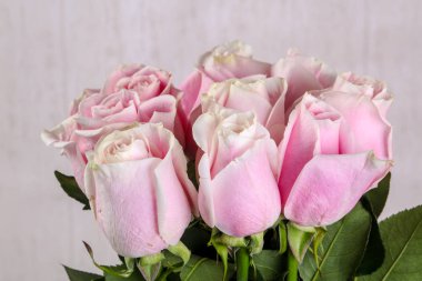 Beyaz arka plan üzerinde izole pembe gül buketi