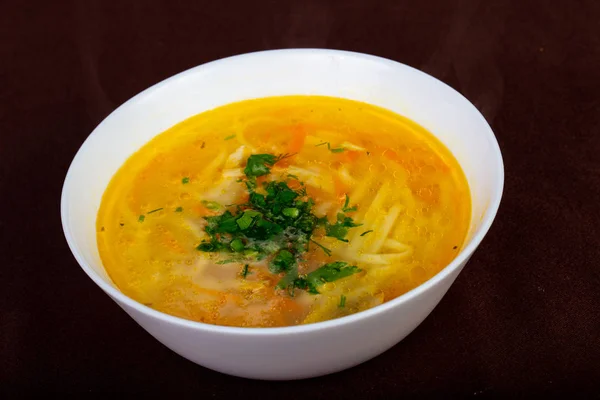 Sopa Pollo Con Fideos Perejil — Foto de Stock