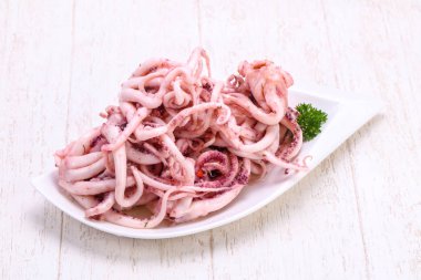 Kalamar Marine tentackle kabın içinde