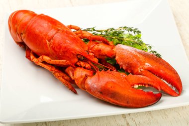 Lezzetli yemek - Haşlanmış ıstakoz yenmeye hazır