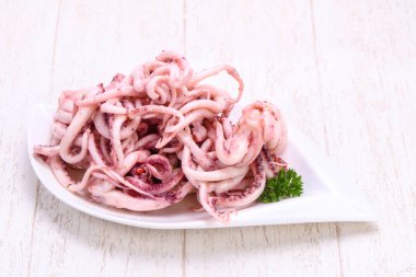 Kalamar Marine tentackle kabın içinde