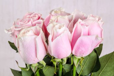 Beyaz arka plan üzerinde izole pembe gül buketi