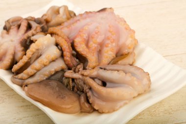 ham ahtapot yemek için hazır