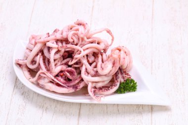 Kalamar Marine tentackle kabın içinde