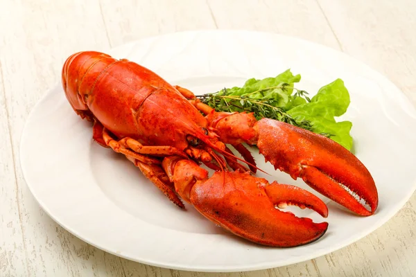 Cozinha Deliciosa Lagosta Fervida Pronta Para Comer — Fotografia de Stock