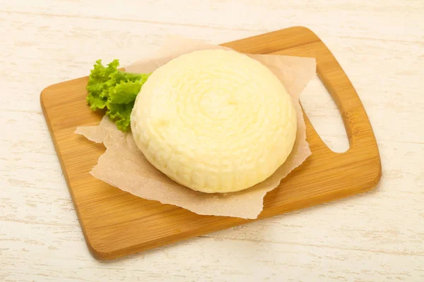 Junger Kaukasischer Käse Suluguni — Stockfoto