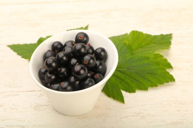 Olgun siyah kuş üzümü ile yaprak kase