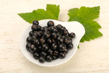 Olgun siyah kuş üzümü ile yaprak kase