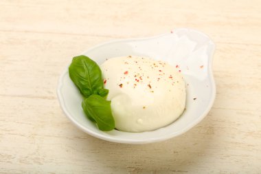 Fesleğen yaprakları ile Mozzarella peyniri