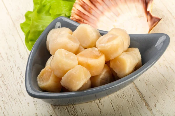 Raw Scallops Heap Bowl Ready Cooking — Stock Photo, Image