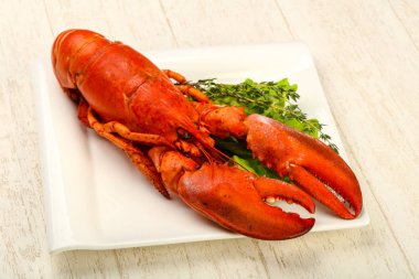 Lezzetli yemek - Haşlanmış ıstakoz yenmeye hazır