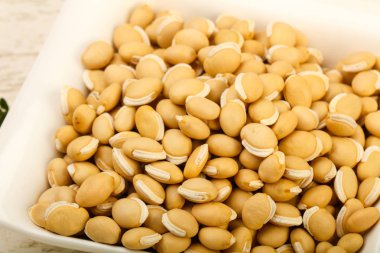 Kase ahşap arka plan üzerinde çiğ beyaz fasulye