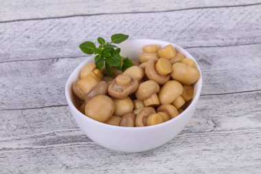 Kasede fesleğen servis edilen turşulu şampiyon yığını.